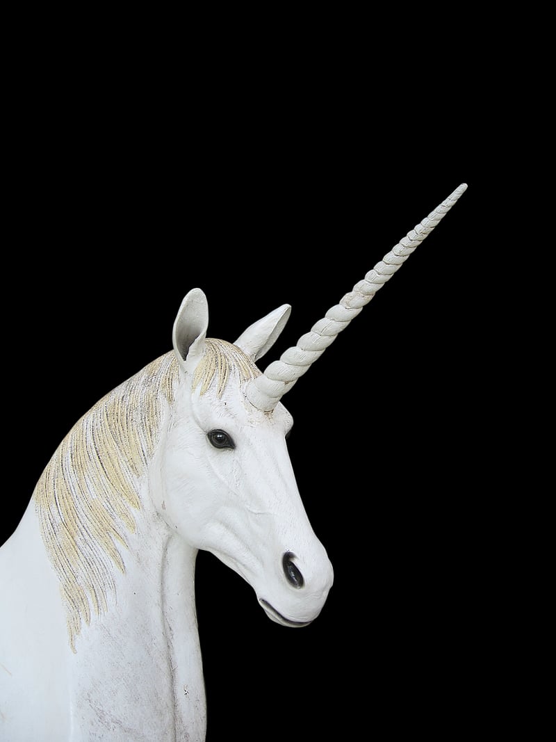 Fantasy Wizard