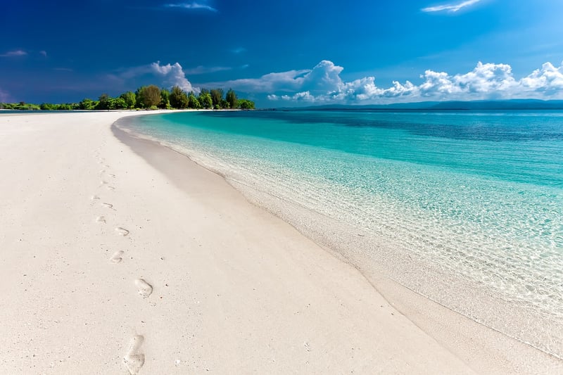 Tropical Beach Landscape